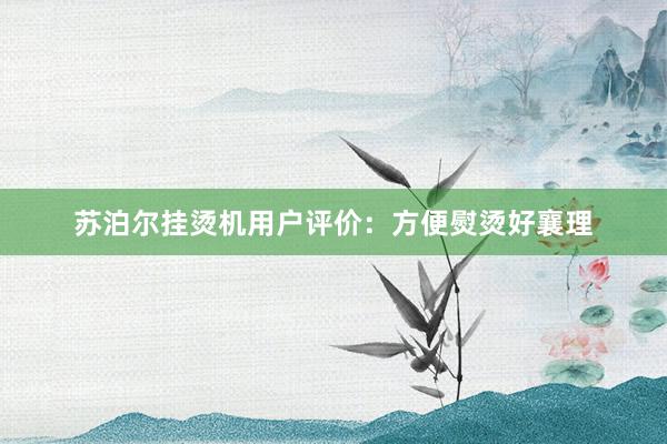 苏泊尔挂烫机用户评价：方便熨烫好襄理